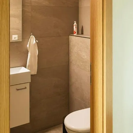 Raufthubel By Interhome Apartment Mürren